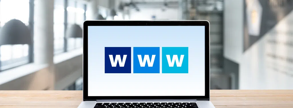 Blog - Roadmap Account Subdomains and the Bigger Picture - 1-13-15