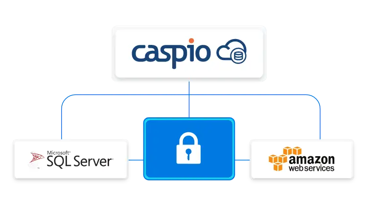 Database