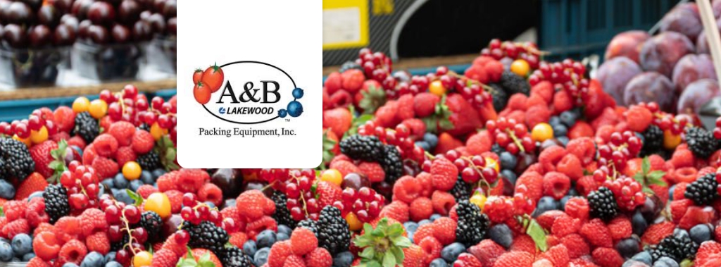 Blog -How A&B Packing Equipment Used Low-Code to Innovate Produce Packaging [Case Study]-12-14-17