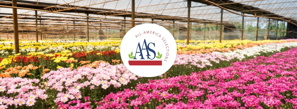 Blog -How All-America Selections Used Low-Code to Plant the Seeds of Success [Video]-12-7-17