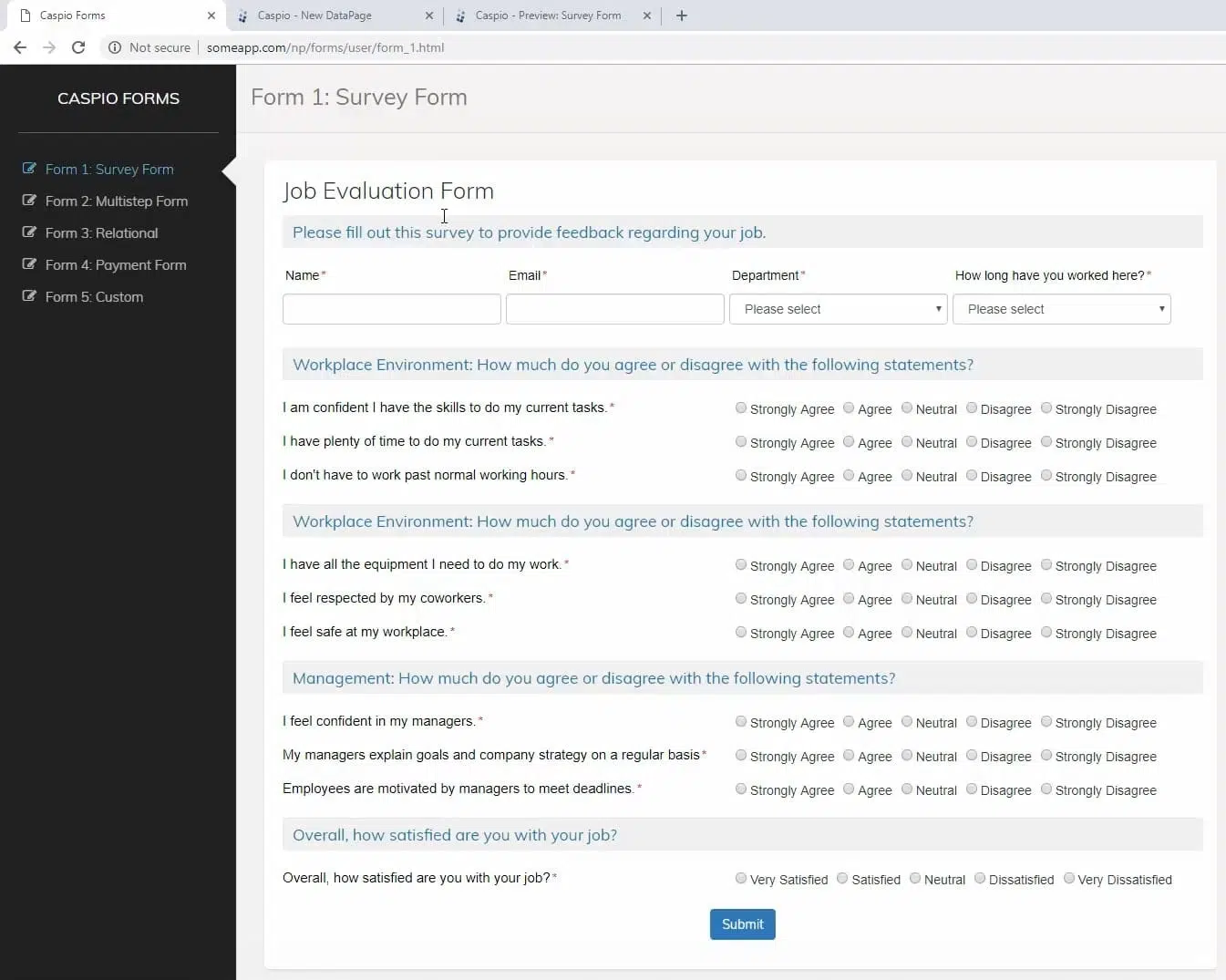 Screenshot of a sample completed survey form made on Caspio titled “Job Evaluation Form”.