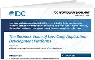 The Business Value of Low-Code Development Platforms