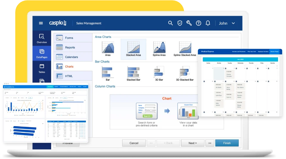 Caspio product screen