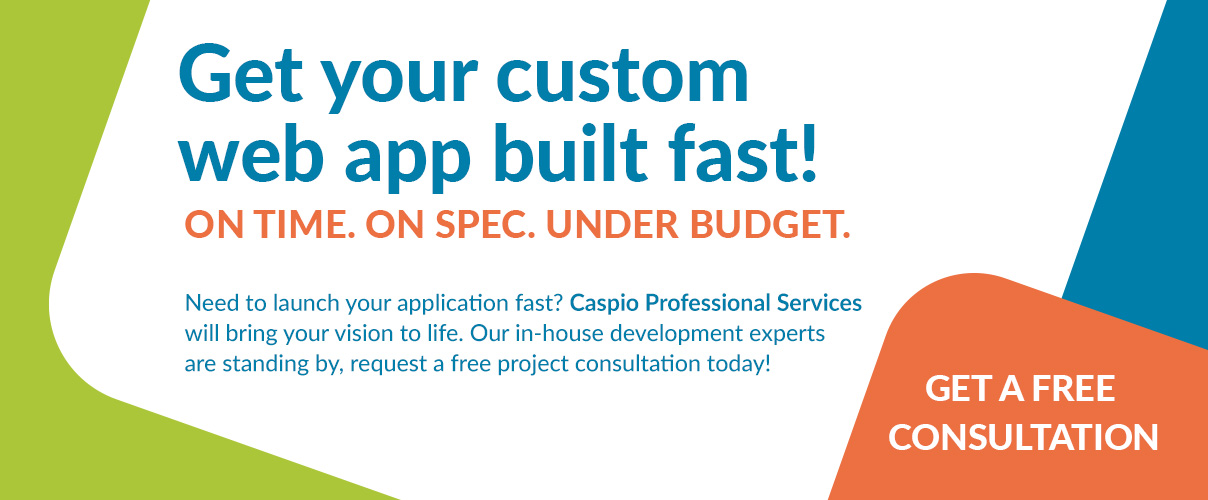 Get your custom web app built fast!