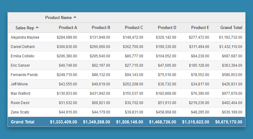 Sales by sales person by product